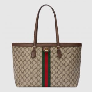 Gucci_GG_ophidia_Bag_in_Bag_Tote_Bag_5373