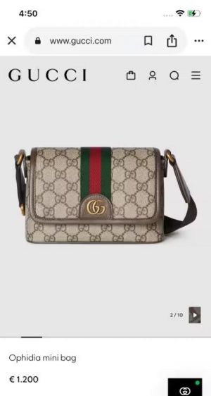 Gucc_i ophidia mini bag with premium box 637