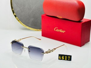 sunglasses premium quality