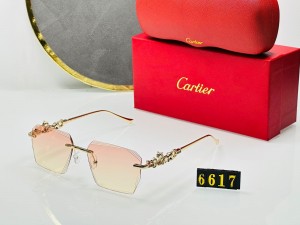 sunglasses premium quality