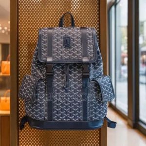_Goyard_alpin_backpack_with_dust_bag_(792080-black)