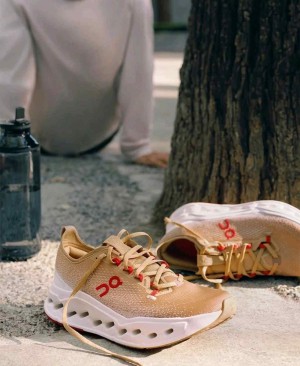 On Cloud Surfermax Year Of The Horse