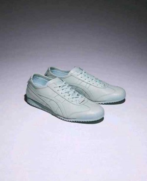 onitsukaa Tiger MEXICO 66 SD CACTFUL-S