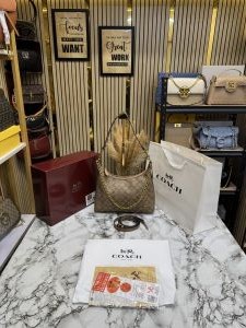 Coac_h Signature Chain Hobo Shoulder Bag With Box And Dust Bag Including Carry Bag (8086) (Apricot)