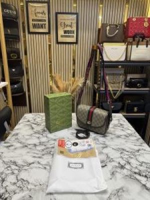 Gucci_GG_Ophidia_Shoulder_Bag_With_Box_And_Dust_Bag