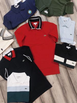 Lacost e Navy Polo Premium Collar Neck T-shirt F3574-NY