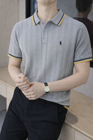 Ralp h Lauren Polo Imported knitted Grey Super Premium Collar Neck T-shirt F3682-GY