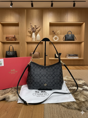 Coach_Laurel_Hobo_ShoulderBag_With_OriginalBox_DustCover