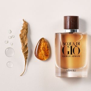 ACQUA DI GIO ARMAN_I ABSOLU EDP 100ml no.11