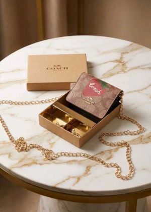 _Coach_mini_chain_wallet_with_og_box(cxB02-D-apricot)