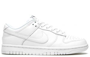 Nik ee Sb Dunk Low Pro Triple White