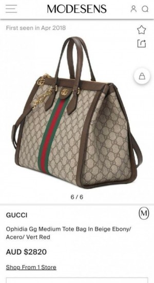 Gucci_Ophidia_GG_Tote_Bag_188