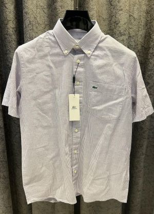 Lacost-e IMPORTED STORE ARTICLE DESIGNER SHIRT PURPLE