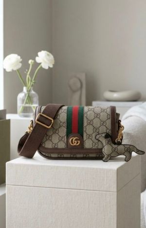Gucci_Ophidia_GG_shoulder_bag_with_og_box_6286