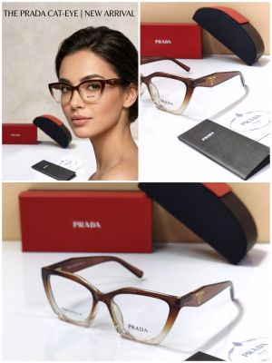 PRAD_A 23102 LATEST DESIGNER BROWN SHADE STORE ARTICLE 424