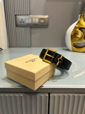 Coxch Premium Waist Belt