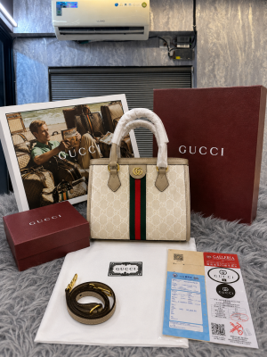 Gucci_Ophidia_Small_GG_Tote_Bag_with_double_box_premium_quality_6358