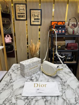 Christian Dio_r Signature Leather Saddle Shoulder Bag With Gold Chain (White)