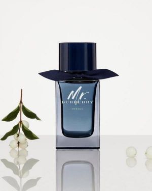 _Mr_Burberry_Indigo_EDT_100ML