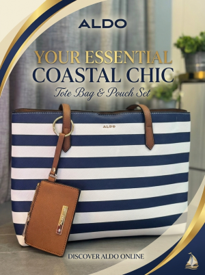 Ald_o womens Blue Stripe Brown with Wallet Dust Bag & box s8968