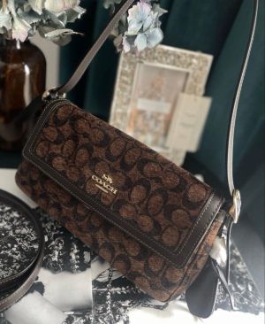 Coach_Etta_Soft_Shoulder_Bag_With_OriginalBox_DustCover