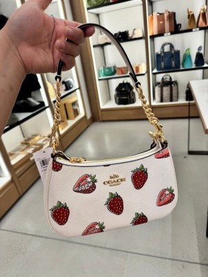 Coach_teri_shoulderbag_with_dualbelts_ogbox_carrybag_etc_premium_quality