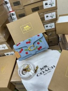_coach_tabby_26_shoulder_bag_with_Box_922