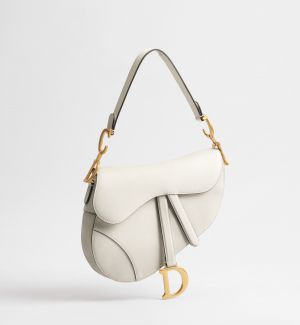 _Christian_Dior_saddle_with_box_6348