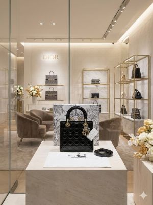 Christian_dior_ladydior_glossy_edition_with_magneticbox_dustbag_etc_569