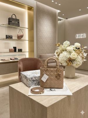 Christian_dior_ladydior_calf_leather_edition_with_magneticbox_dustbag_etc_567