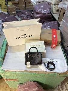 Coach_mini_rowan_nwt_satchelbag_with_dutyfree_double_box_carrybag_etc_570