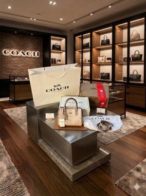 Coach_mini_rowan_nwt_satchelbag_with_dutyfree_double_box_carrybag_etc_572