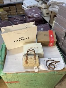 Coach_mini_rowan_nwt_satchelbag_with_dutyfree_double_box_carrybag_etc_574