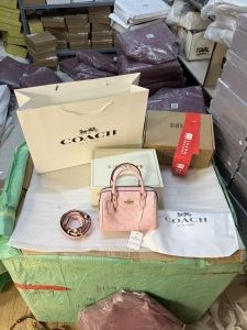 Coach_mini_rowan_nwt_satchelbag_with_dutyfree_double_box_carrybag_etc_575