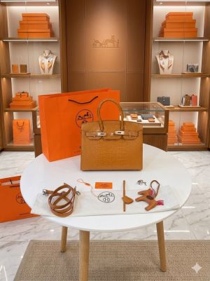Hermes_birken_30cm_crocodile_leather_handbag_with_horsecharm_lockkey_evelope_dustbag_carrybag_etc_584