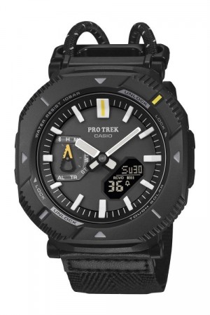 C ASIO PRO TREK