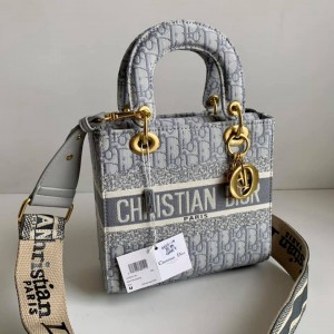 Christian_DIOR_LADY_BAG_WITH_BRAND-BOX_GRY_CARRY_BAG_728