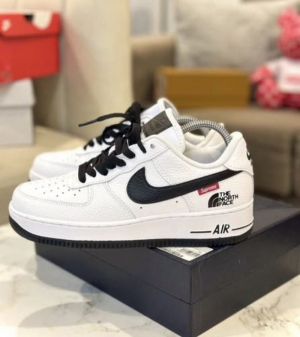 Nik e airforce 1 low x supreme x the north fac