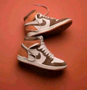 Air Jordan retro 1 High Dusted Clay