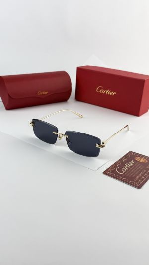 Carti_er_gold_black_mo25