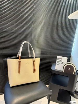 Coa_ch Mollie Premium Leather Tote Bag With OG Box & Dust Bag (White - 1199)