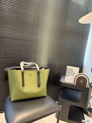 Coach1200 Mollie Premium Leather Tote Bag With OG Box & Dust Bag (Green - 1200)