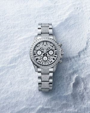 Role_x Oyster Perpetual Tiger Silver