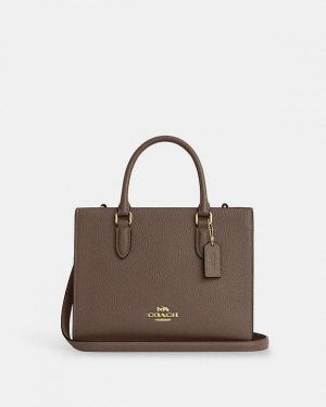Coac_h Maggie small tote bag without box 452