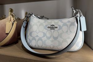 Coachh_ Teri shoulder bag in signature canvas featuring a white and light blue color scheme with gold-tone hardware Bag with box premium quality