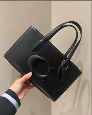 Coac h nina mini totebag with ogbox carrybag etc 415