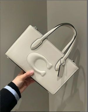 Coac h nina mini totebag with ogbox carrybag etc 419