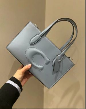 Coac h nina mini totebag with ogbox carrybag etc 416