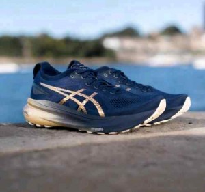 Asiccss Gel Kayano 31 Platinum Blue