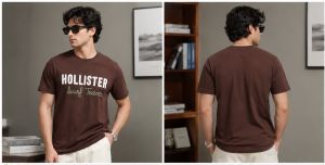 HOLLISTER BROWN SURF PREMIUM TEE